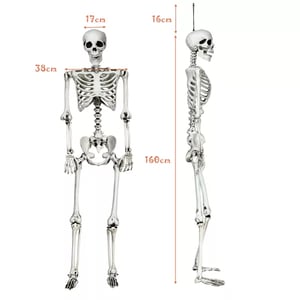 Track Stock of Costway 5.4ft Halloween Skeleton Life Size