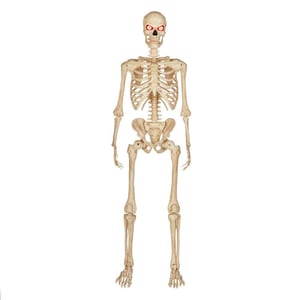 Track Stock of 5 ft. LED Ultra Pose-N-Stay Skeleton by Home Depot