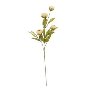 Track Stock of Peony Stem by Ashland