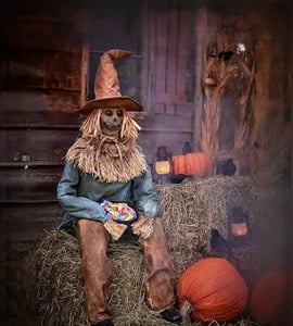 Track Stock of Scary Sitting Scarecrow Animatronic