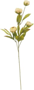 Track Stock of Ashland Tan Peony Stem