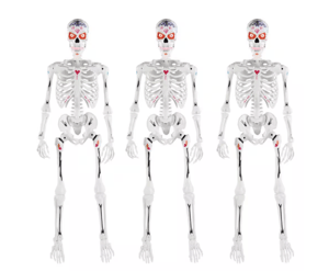 Track Stock of 3-Pack 5 ft. Grave & Bones LED Day of the Dead