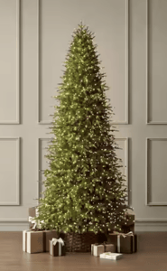 Track Stock of 9 ft. Grand Duchess Twinkling Balsam Fir Slim 