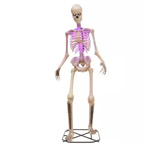 Track Stock of 12 FT Giant-Sized Animated LED App Controlled Skelly