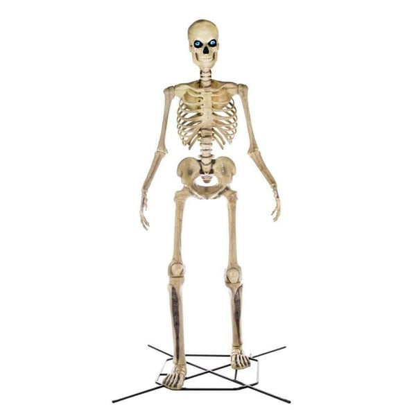 Home Accents 12 ft. Giant-Sized Skeleton with LifeEyes Restock Notifications