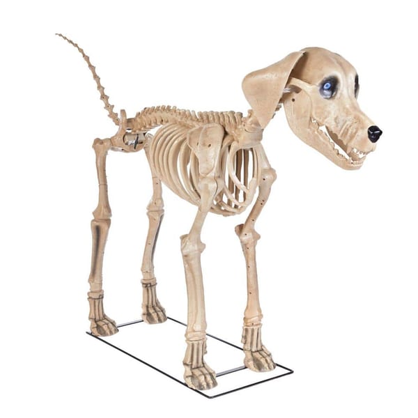 7 ft. Skelly’s Dog Restock Notifications