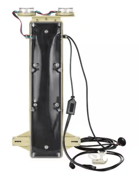 Color Changing LED 12 ft. Skelly Lighting Kit Restock Notifications