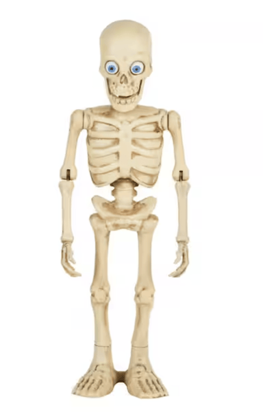 3 ft. Halloween Classics Animated Dancing Skeleton Restock Notifications