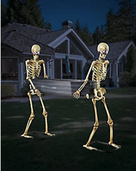 5 Ft LED Skeletons with Coffin Restock Notifications