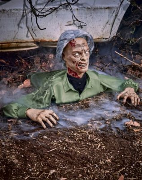 1 Ft 6 In Creepy Crawler Animatronic Restock Notifications