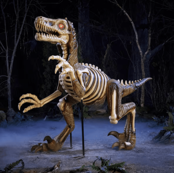 8 FT Long Grave & Bones Giant Zombie Velociraptor Restock Notifications