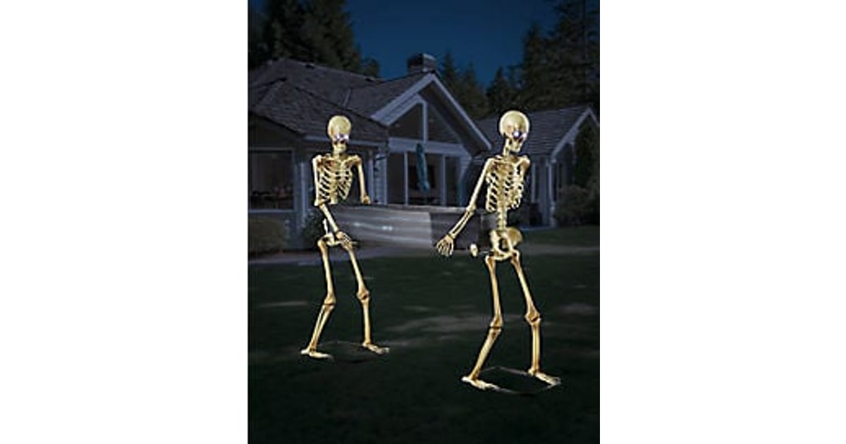 5 Ft LED Skeletons with Coffin In Stock Availability and Price