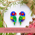 Track Stock of Binkabu Rainbow Lorikeet Studs - Statement Bird Earrings - Sterling Silver Posts