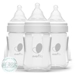 Track Stock of Evenflo 3pk Balance Wide-Neck Anti-Colic Baby Bottles Glass - 6oz