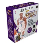 Track Stock of 2024-2025 Panini Select Basketball Mega Box