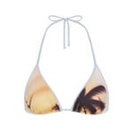 Track Stock of Skims Signature Swim Triangle Bikini Top - Airbrush Beach Scene - Xl