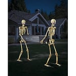 Track Stock of 5 Ft LED Skeletons with Coffin