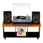 Track Stock of MGA's Miniverse Real Music Record Player Mini Collectibles Mini Playable Record Player Fea