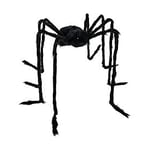 Track Stock of 5 Ft Light-Up Black Spider