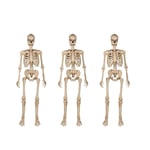 Track Stock of 3-Pack 5 ft. Ultra Poseable LED Skeleton