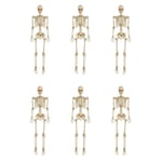 Track Stock of 6-Pack 5 ft. Poseable Skeleton by Home Depot