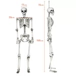Track Stock of Costway 5.4ft Halloween Skeleton Life Size