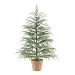 Track Stock of My Texas House Potted 4 ft Pre-Lit LED Cypress A
