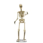 Track Stock of 12 ft. Servo Skelly by Home Depot