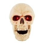 Track Stock of Animated Talking Skull by Home Depot