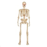 Track Stock of 5 ft. LED Ultra Pose-N-Stay Skeleton by Home Depot