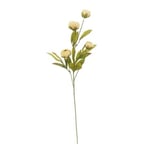 Track Stock of Peony Stem by Ashland - 16 Pk - Tan