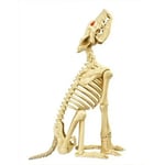 Track Stock of 2.5 ft. Animated Halloween Skeleton Wolf