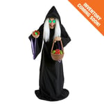 Track Stock of 5.5 ft. Animated LED Evil Queen