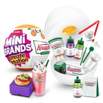 Track Stock of Mini Brands Krispy Kreme Create Halloween Series 1