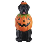 Track Stock of 2.5 ft. LED Labrador in Pumpkin Costume 