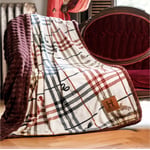 Track Stock of Harry Potter Academic Plaid Throw