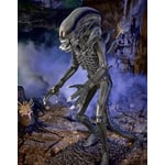 Track Stock of 6 Ft 8 In Alien Xenomorph Animatronic