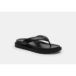 Track Stock of Brynn Thong Sandal