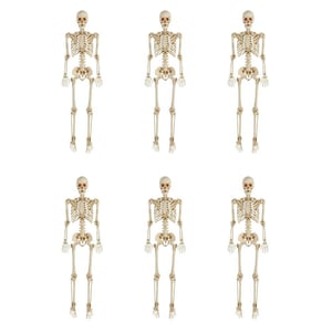 6-Pack 5 ft. Poseable Skeleton by Home Depot Restock Notifications