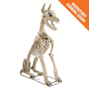 5 ft. Grave & Bones Skelly's Sitting Dog with LifeEyes Restock Notifications
