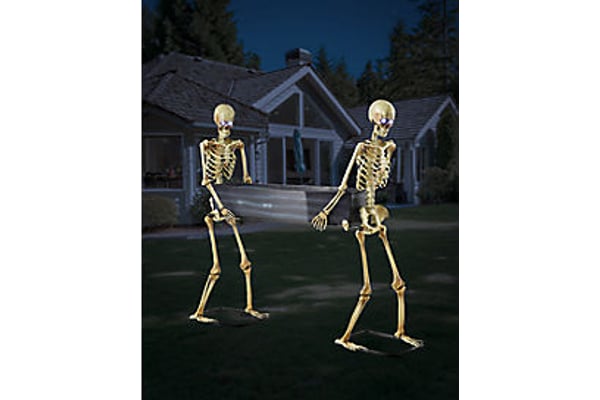 5 Ft LED Skeletons with Coffin In Stock Availability and Price