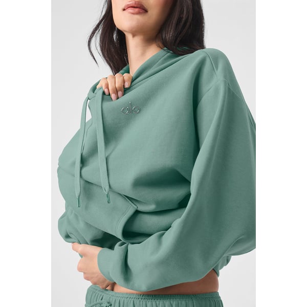 Alo Yoga Wrap Hoodie Alo Yoga Crop Hoodie  Small  $40