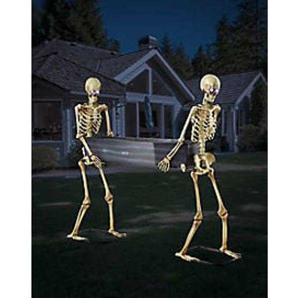 5 Ft LED Skeletons with Coffin In Stock Availability and Price